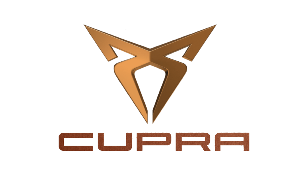 Cupra CANchecked