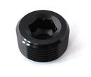 Insexplugg - 1/16" NPT