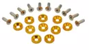 Försänkt bricka med skruv / JDM Fender washer Guld