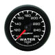 2-1/16" Vattentemperatur, 100-260 °F, ES
