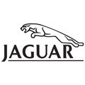 Jaguar Topplockspackning
